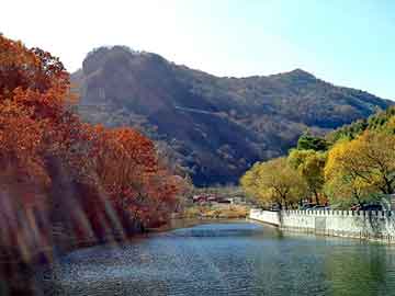 澳门天天开奖免费资料，手机 山寨 新款